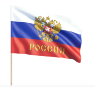 Флаг России с гербом на палке 20*30 CM